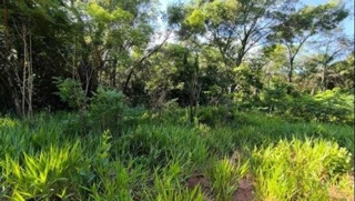 Imóvel 2653314 [''] - ['Alameda Tuiuius, Lt 39 do Módulo 08, Vale do Igapó, Bauru, SP'] ['Vale do Igapó'] - ['Bauru']/['SP'] - 1