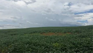 Imóvel 2502414 [''] - ['Fazenda Pedras, lugar denominado Palmeiras, Fazenda São Francisco II'] ['Centro'] - ['Unaí']/['MG'] - 1