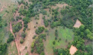 Imóvel 2970914 [''] - ['SANTA TEREZA DE GOIAS/GO - FAZENDA - GLEBA DE TERRAS COM ÁREA 10,50 Alqueires ou 50,82 Hectares'] [''] - ['Santa Tereza De Goiás']/['GO'] - 1