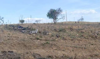 Imóvel 2975714 [''] - ['FAZENDA FOLHADOS- LUGAR DENOMINADO TOMBADOR'] [''] - ['Patrocínio']/['MG'] - 1
