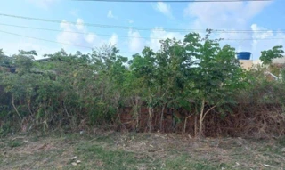 Imóvel 2660214 [''] - ['Loteamento Pontal da Ilha'] ['Lot. Fortinho'] - ['Ilha de Itamaracá']/['PE'] - 1