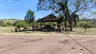 Imóvel 2599414 [''] - ['Rua Rio De Janeiro, 322, Lote 06 Da Quadra 04, Condominio Parque Residencial Viva, Pérola, PR'] [''] - ['Pérola']/['PR'] - 1