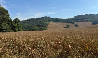 Imóvel 2722514 [''] - ['Parte do lote rural n.º 66, da Linha Moreira César'] [''] - ['Serafina Corrêa']/['RS'] - 1