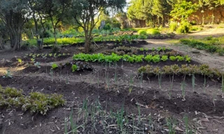 Imóvel 2651914 [''] - ['lugar denominado TIRIRICA, no Distrito do Espigão'] [''] - ['Viamão']/['RS'] - 1