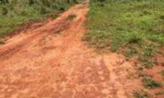 Imóvel 2731014 [''] - ['Zona Industrial, Angélica'] [''] - ['Angélica']/['MS'] - 1