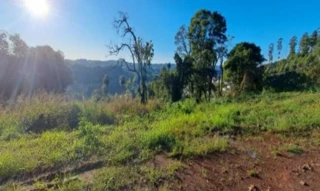 Imóvel 2694914 [''] - ['Rua Gentil Maggioni, S/N - Lote N°03, Quadra N°105, Loteamento Vale do Sol - Interior - Cordilheira Alta / SC'] [''] - ['Cordilheira Alta']/['SC'] - 1