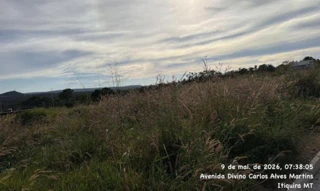 Imóvel 3029214 [''] - ['Avenida Projetada 02, sn (Lote 008 da Quadra 67H)'] [''] - ['Itiquira']/['MT'] - 1