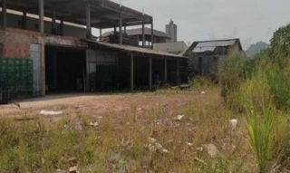 Imóvel 2699814 [''] - ['Avenida dos Ipês, s/nº - Lote Lote 22, Quadra 45 - Bairro Cidade Jardim - Parauapebas / PA'] ['Cidade Jardim'] - ['Parauapebas']/['PA'] - 1