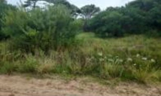 Imóvel 2670114 [''] - ["Lote 14, quadra 22, Zona 'B', Estação Balneária da Barra do Chuí, Loteamento Alvorada"] [''] - ['Santa Vitória Do Palmar']/['RS'] - 1