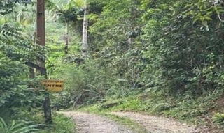 Imóvel 2610914 [''] - ['Rua Martinho Ramos, S/N, Matinhos, PR'] [''] - ['Matinhos']/['PR'] - 1