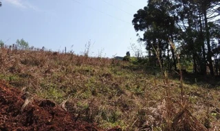 Imóvel 2404214 [''] - [''] [''] - ['Dois Lajeados']/['RS'] - 1