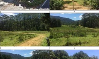 Imóvel 2574814 [''] - ['Sertão da madeireira Gleba n°03, desmembrada de área maior do imóvel Sertão da Madeireira'] [''] - ['Bananal']/['SP'] - 1