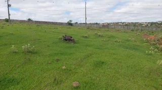 Imóvel 2655714 [''] - ['Rua Rio De Janeiro, 364, Lote 04 Da Quadra 04, Perola, Pérola, PR, CEP: 87540000'] [''] - ['Pérola']/['PR'] - 1