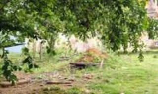 Imóvel 2601315 [''] - ['Rua João Pinheiro, nº 193, Lot. Nova Carapina, Distrito de Carapina'] ['Nova Carapina I'] - ['Serra']/['ES'] - 1