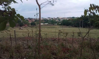 Imóvel 2898615 [''] - ['Entrocamento das Ruas José Bernardino Leão, S/N, 16980-210, Rua João Hongo, Conjunto Habitacional Doutor José Olavo Diniz, Guaraçaí, SP, 16980-224 Condições para pagamento: à vista 100% do pagamento na emissão do CCV (Contrato de Compra e Venda) Considerações: Sobre o valor arrematado considerar + 7.0 % de comissão do leilão e + 1.0 % de taxa de serviços Pagimovel® a serem pagos pelos compradores. Exibir mais Informações adicionais Estas considerações estabelecem as condi