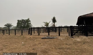 Imóvel 2603015 [''] - ['Lote 41-A, Gleba 03, Gleba Corumbiara, Setor Barão de Melgaço, Pimenta Bueno-RO'] [''] - ['Pimenta Bueno']/['RO'] - 1