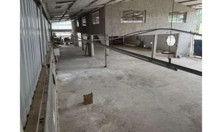 Galpão em Muriaé, Distrito Industrial, Rua Mário de Oliveira Carvalho, 170, MG. Área: 220m2