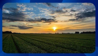 Imóvel 2022215 [''] - ['R. Joaquim Jose Modesto, SITUADA NO SÍTIO ALAGOINHA, ZONA RURAL'] [''] - ['Araripina']/['PE'] - 1