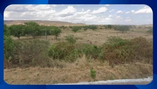 Imóvel 2102915 [''] - ['Lote Próprio Nº 07, da Quadra C, Loteamento Campas III'] [''] - ['Tamandaré']/['PE'] - 1