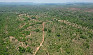 Imóvel 2608615 [''] - ['Rodovia BR-070 e MT-451, próximo à Poconé'] [''] - ['Poconé']/['MT'] - 1