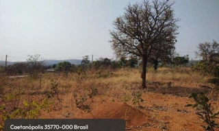 Imóvel 3045115 [''] - ['Avenida Europa, s/n, Quadra 03, Lote 04, Garden Ville, Caetanópolis, MG, 35770-000, , Caetanópolis/MG'] [''] - ['Caetanópolis']/['MG'] - 1