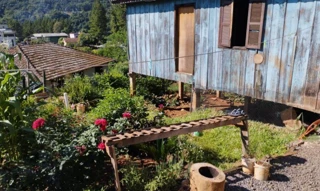 Imóvel 2539515 [''] - ['Rua Scalco, Bairro Scalco, Ipumirim/SC'] [''] - ['Ipumirim']/['SC'] - 1