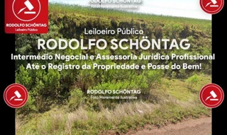 Imóvel 2646115 [''] - ['Av. Alberto Paqualini, lado Impar'] [''] - ['Braga']/['RS'] - 1