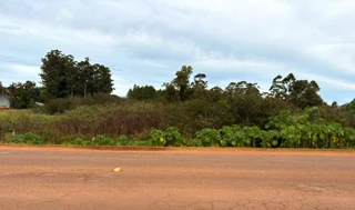 Imóvel 2857015 [''] - [', s/n -'] [''] - ['São Borja']/['RS'] - 1