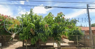 Imóvel 2879015 [''] - ['Rua Antonio Rodrigues de Barros, 1136 - Jardim Santa Clara Dracena - SP'] ['Vila Godoy'] - ['Dracena']/['SP'] - 1