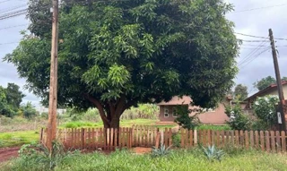 Imóvel 2729616 [''] - ['Rua Ramona Loveira Renovato 1215'] ['Sitioca Campos Belo'] - ['Dourados']/['MS'] - 1