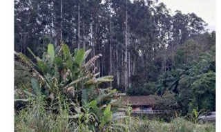 Imóvel 2533116 [''] - ['Localidade de Rio dos Índios, n. 2776 - lado par da Rua Ricardo Stein - a 04 km da sede do município, CEP 89.150 000, PRESIDENTE GETÚLIO, SC'] [''] - ['Presidente Getúlio']/['SC'] - 1