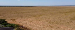 Imóvel 2875216 [''] - ['Fazenda Esmeralda'] [''] - ['Brasnorte']/['MT'] - 1