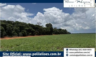 Imóvel 2506016 [''] - ['Gleba Atlântica com Gleba Capen, próximo a Nova Ubiratã'] [''] - ['Vera']/['MT'] - 1