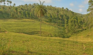 Imóvel 2452816 [''] - ['denominação de Brocoto ou Fábrica, parte integrante das Fazendas Reunidas'] [''] - ['Formosa']/['GO'] - 1