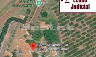 Imóvel 3039716 [''] - ['Rodovia Vicinal Indiaporã a Mira Estrela/SP, Bebedouro - SP'] [''] - ['Bebedouro']/['SP'] - 1