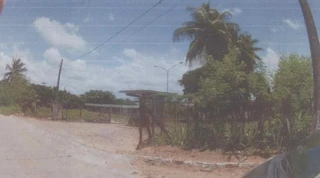 Imóvel 3032316 [''] - ['AVENIDA INDUSTRIAL JOÃO FRANCISCO DA MOTTA, 3684'] [''] - ['Natal']/['RN'] - 1