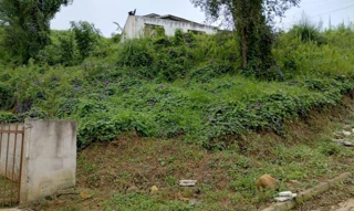 Imóvel 2714516 [''] - ['Lote n° 318, da Quadra 27, Centro'] [''] - ['Calmon']/['SC'] - 1