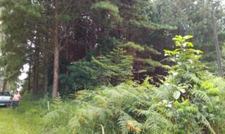 Imóvel 2729716 [''] - ['Nao informado Nao informado'] [''] - ['Laurentino']/['SC'] - 1