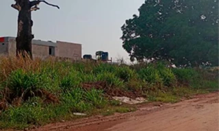 Imóvel 2995216 [''] - ['Rua Terezinha Monte, sn (Lote 21 da Quadra 284, Setor 14)'] [''] - ['Novo Progresso']/['PA'] - 1