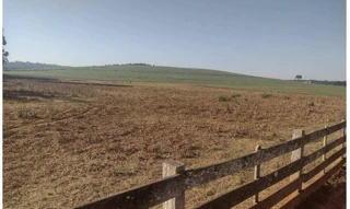 Imóvel 2810216 [''] - ['Fazenda Floresta Lagoa/Rio Perdido, às margens da BR-151 que liga Imbituva X Irati'] [''] - ['Imbituva']/['PR'] - 1