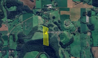 Imóvel 2972117 [''] - ['Rua RS-132, s/n - Doutor Montauri - Zona Rural - Vila Maria / RS'] [''] - ['Vila Maria']/['RS'] - 1
