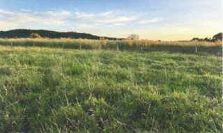 Imóvel 2569417 [''] - ['Fazenda Santa Marta, Mozarlandia'] [''] - ['Mozarlândia']/['GO'] - 1