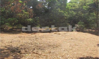 Imóvel 2038717 [''] - ['Rua Joaquim Lúcio,  Residencial Barravento - Goiânia - GO'] ['Chácaras Maria Dilce'] - ['Goiânia']/['GO'] - 1