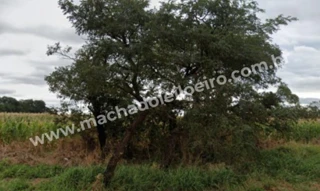 Imóvel 2348017 [''] - ['Avenida Marcelino Pires, s/n'] [''] - ['Dourados']/['MS'] - 1