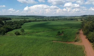 Imóvel 2603117 [''] - ['Lote Rural no 191-C, Bairro: Fazenda Britânia- MERCEDES/ PR, CEP 85998-000'] [''] - ['Mercedes']/['PR'] - 1