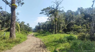 Imóvel 2588617 [''] - ['Rua G'] [''] - ['Matinhos']/['PR'] - 1