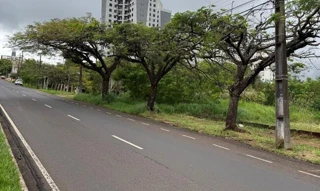 Imóvel 3039517 [''] - ['Avenida Arquiteto Nildo Ribeiro da Rocha, Nº 2.517'] ['Jardim Ipanema'] - ['Maringá']/['PR'] - 1