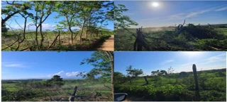 Imóvel 2984217 [''] - ['SÍTIO SAPUCAIA, ÁREA DE 209.920M², SOBRADINHO'] [''] - ['Araruama']/['RJ'] - 1
