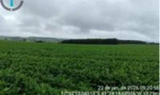 Imóvel 2852517 [''] - ['Fazenda Paiolão'] [''] - ['Pontalina']/['GO'] - 1