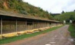 Imóvel 2977017 [''] - ['Rodovia RJ-155, altura do Km 55, Zona Rural de Lídice'] [''] - ['Rio Claro']/['RJ'] - 1